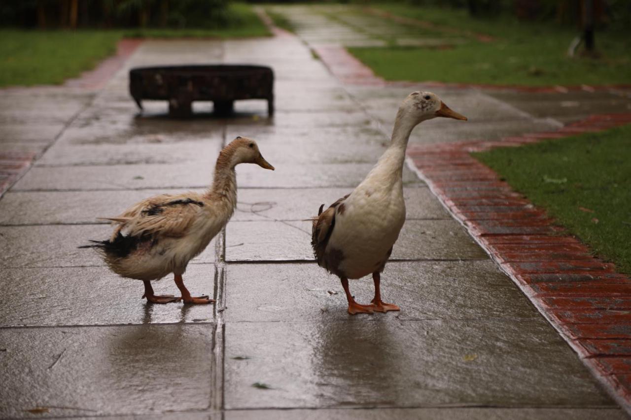 Brown Town Resort & Spa Haydarabad Dış mekan fotoğraf